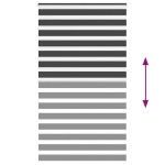 vidaXL Jaluzea tip zebra neagră lățime țesătură 120,9 cm poliester