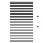 vidaXL Jaluzea tip zebra neagră lățime țesătură 125,9 cm poliester