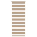 vidaXL Jaluzea tip zebra 65x100 cm lățime țesătură 60,9 cm poliester
