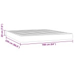 vidaXL Saltea de pat cu arcuri, gri deschis, 160x220x20 cm, catifea vidaXL Saltea de pat cu arcuri, gri deschis, 160x220x20 cm, catifea