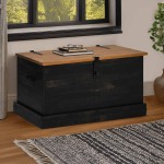 vidaXL Cufă de depozitare HALDEN Negru 91x48x47 cm Lemn masiv de pin vidaXL Cufă de depozitare HALDEN Negru 91x48x47 cm Lemn masiv de pin
