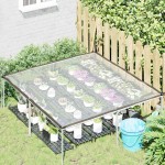 vidaXL Prelata transparenta cu ochiuri 2x2 m polietilena
