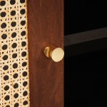 vidaXL Dulapuri și suporturi pentru stocarea media cu raft cu ușă Maro