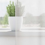 vidaXL Perdele Voile cu buzunare pentru bare 2 buc Alb vidaXL Perdele Voile cu buzunare pentru bare 2 buc Alb