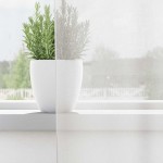 vidaXL Perdele Voile cu buzunare pentru bare 2 buc Alb