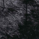 vidaXL Covor shaggy cu pom înalt, NAVARRA, negru, 120x170cm, poliester