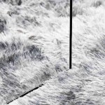 vidaXL Covor shaggy cu pom înalt, NAVARRA, gri deschis, 200x290 cm vidaXL Covor shaggy cu pom înalt, NAVARRA, gri deschis, 200x290 cm