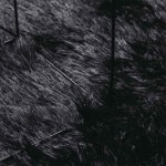 vidaXL Covor shaggy cu pom înalt, NAVARRA, negru, 200x200cm, poliester