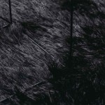 vidaXL Covor shaggy cu pom înalt, NAVARRA, negru, 240x240cm, poliester