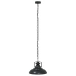 vidaXL Lampă suspendată E27 Negru Ø 31 cm Fier vidaXL Lampă suspendată E27 Negru Ø 31 cm Fier