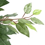 vidaXL Ficus artificial 756 frunze 170 cm verde vidaXL Ficus artificial 756 frunze 170 cm verde