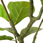 vidaXL Ficus artificial 30 de frunze 125 cm verde vidaXL Ficus artificial 30 de frunze 125 cm verde