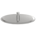 vidaXL Cap de duș cu ploaie rotundă din oțel inoxidabil 304 25 cm vidaXL Cap de duș cu ploaie rotundă din oțel inoxidabil 304 25 cm