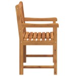 vidaXL Scaun pentru Grădină 2 pcs Maro 56 x 56 x 90 cm vidaXL Scaun pentru Grădină 2 pcs Maro 56 x 56 x 90 cm
