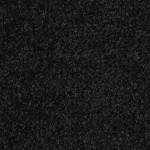 vidaXL Covoraș de ușă, negru, 80x120 cm vidaXL Covoraș de ușă, negru, 80x120 cm