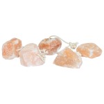 vidaXL Blocuri de sare 20 buc cu sfori pentru animale de fermă 2,5 kg Roz vidaXL Blocuri de sare 20 buc cu sfori pentru animale de fermă 2,5 kg Roz