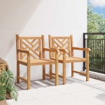 vidaXL Scaune de grădină 2 pcs Maro 58 x 60 x 90 cm Lemn masiv de tec