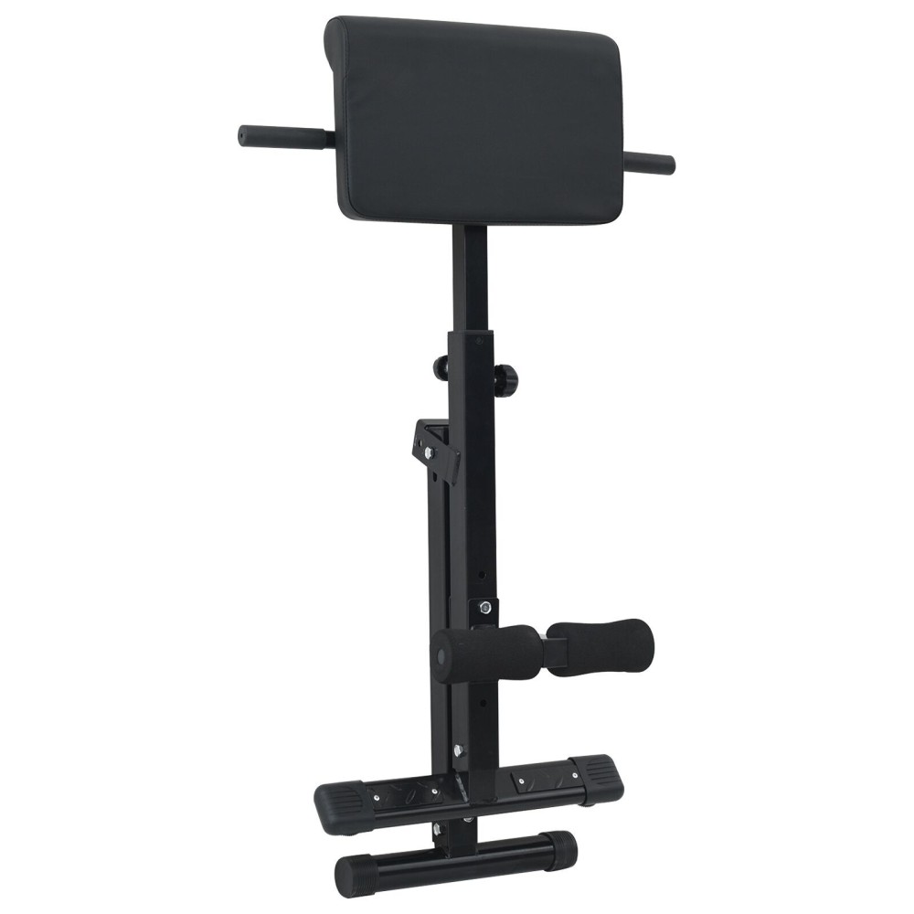 vidaXL Bancă pentru hiperextensii 120 kg pliabilă și ajustabilă din oțel