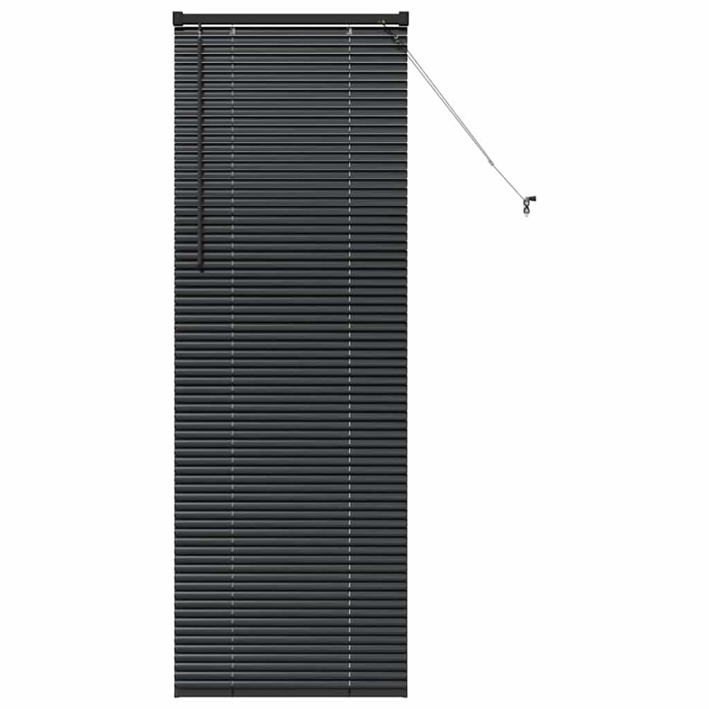 vidaXL Jaluzea pentru Fereastră cu perdele Manual Negru Aluminiu