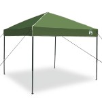 vidaXL Cort Canopy Pop-up Verde 250 x 250 cm țesătură