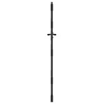 vidaXL Poartă de grădină Negru 105 x 175 cm Oțel vopsit în pulbere vidaXL Poartă de grădină Negru 105 x 175 cm Oțel vopsit în pulbere
