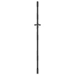 vidaXL Poartă de grădină Negru 105 x 200 cm Oțel vopsit în pulbere