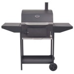 vidaXL Grătar barbecue cu cărbuni, afumătoare și raft jos, negru vidaXL Grătar barbecue cu cărbuni, afumătoare și raft jos, negru