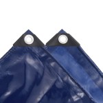 vidaXL Prelată 650 g/m² 2 x 3 m albastru vidaXL Prelată 650 g/m² 2 x 3 m albastru