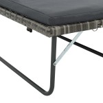 vidaXL Set mobilier de grădină cu perne, 2 piese, gri, poliratan vidaXL Set mobilier de grădină cu perne, 2 piese, gri, poliratan