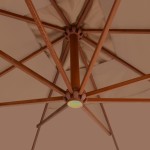 vidaXL Umbrelă consolă de grădină cu stâlp din lemn, taupe, 400x300 cm vidaXL Umbrelă consolă de grădină cu stâlp din lemn, taupe, 400x300 cm