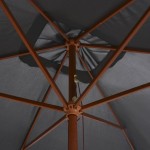 vidaXL Umbrelă de soare exterior, stâlp lemn, 200x300 cm, antracit vidaXL Umbrelă de soare exterior, stâlp lemn, 200x300 cm, antracit