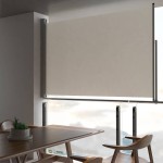 vidaXL Copertină laterală retractabilă de terasă, crem, 160x300 cm vidaXL Copertină laterală retractabilă de terasă, crem, 160x300 cm
