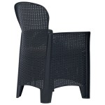 vidaXL Scaune de grădină cu perne 2 buc. antracit plastic aspect ratan vidaXL Scaune de grădină cu perne 2 buc. antracit plastic aspect ratan
