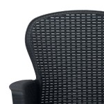 vidaXL Scaune de grădină cu perne 2 buc. antracit plastic aspect ratan vidaXL Scaune de grădină cu perne 2 buc. antracit plastic aspect ratan