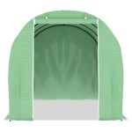 vidaXL Seră, 6,86 m², 3,43 x 2 x 2 m