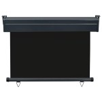 vidaXL Copertină laterală de balcon, negru, 100 x 250 cm vidaXL Copertină laterală de balcon, negru, 100 x 250 cm