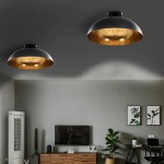 vidaXL Lustre, 2 buc., negru și auriu, semisferic, E27 vidaXL Lustre, 2 buc., negru și auriu, semisferic, E27