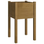 vidaXL Jardiniere grădină 2 buc. maro miere 40x40x70 cm lemn masiv pin