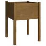 vidaXL Jardiniere grădină 2 buc. maro miere 50x50x70 cm lemn masiv pin