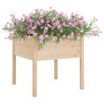 vidaXL Jardiniere de grădină, 2 buc., 70x70x70 cm, lemn masiv de pin vidaXL Jardiniere de grădină, 2 buc., 70x70x70 cm, lemn masiv de pin