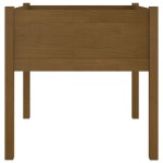 vidaXL Jardiniere grădină 2 buc. maro miere 70x70x70 cm lemn masiv pin