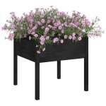 vidaXL Jardiniere grădină, 2 buc., negru, 70x70x70 cm, lemn masiv pin
