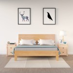 vidaXL Noptiere, 2 buc., 50x35x61,5 cm, lemn masiv de pin vidaXL Noptiere, 2 buc., 50x35x61,5 cm, lemn masiv de pin