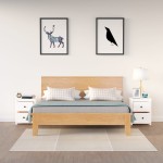 vidaXL Noptiere, 2 buc., alb, 50x35x61,5 cm, lemn masiv de pin