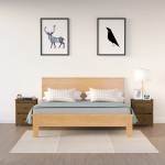 vidaXL Noptiere, 2 buc, maro miere, 50x35x61,5 cm, lemn masiv de pin