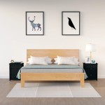 vidaXL Noptiere, 2 buc., negru, 50x35x61,5 cm, lemn masiv de pin vidaXL Noptiere, 2 buc., negru, 50x35x61,5 cm, lemn masiv de pin