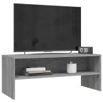 vidaXL Comodă TV, gri sonoma, 100x40x40 cm, lemn compozit vidaXL Comodă TV, gri sonoma, 100x40x40 cm, lemn compozit