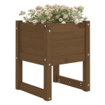 vidaXL Jardiniere, 2 buc., maro miere, 40x40x52,5cm, lemn masiv de pin