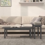 vidaXL Set măsuțe de cafea, 2 piese, gri, lemn masiv de pin