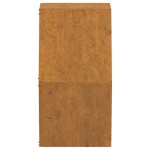 vidaXL Jardiniere de perete, 2 buc., ruginiu, 30x10x25 cm, oțel corten